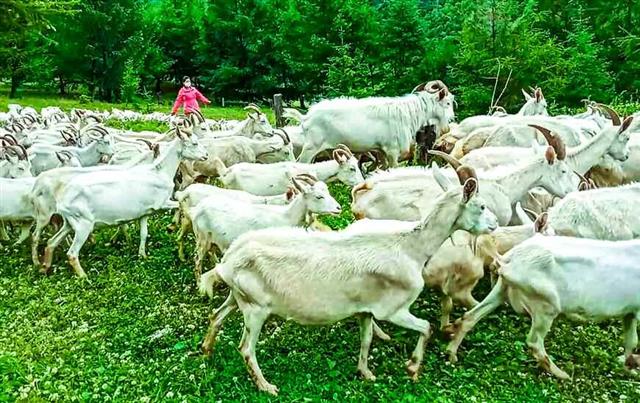 북한 노동당 기관지 노동신문은 21일 ‘인민을 위해  당조직이 있고 당 일꾼이 있다’는 제목으로 허천군 당 위원회의 사업을 모범 사례로 들었다. 신문은 최근 연간 이곳에 “수많은 살림집과 다리들이 건설되고 은덕원, 체육관, 군유치원 등 대중봉사기지 및 교육기관들이 훌륭히 일떠섰다”라고 소개했다.    평양 노동신문 뉴스1