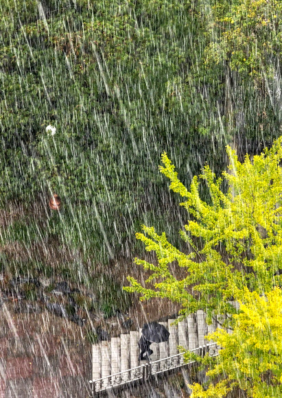 22일 오후 강원 강릉시청 인근에서 대기 불안정으로 우박이 쏟아지자 한 시민이 우산을 쓰고 발걸음을 옮기고 있다. 2021.10.22  연합뉴스