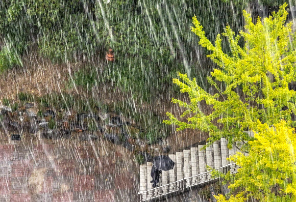 22일 오후 강원 강릉시청 인근에서 대기 불안정으로 우박이 쏟아지자 한 시민이 우산을 쓰고 발걸음을 옮기고 있다. 2021.10.22  연합뉴스