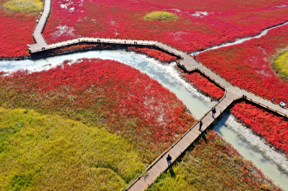 가을 갯벌 산책