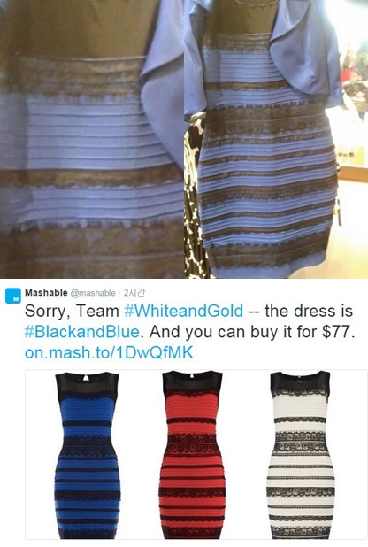 얼핏 평범한 드레스 사진 처럼 보이지만, 당시 파란색 드레스에 검은색 레이스라는 의견과 흰색 드레스에 금색 레이스라는 의견이 팽팽했다. 트위터 캡처
