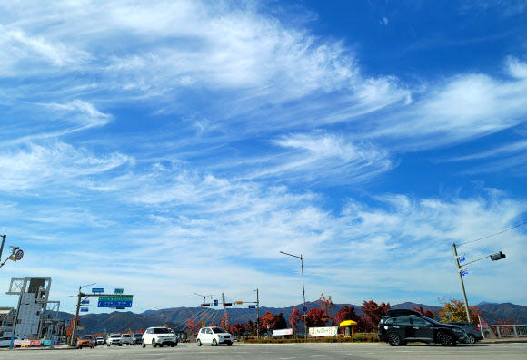 가을 날개의 깃털