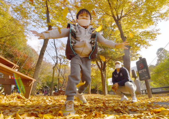 완연한 가을날씨를 보인 1일 경기도 과천서 서울대공원을 찾은 어린이와 아빠가 떨어진 낙엽아래서 즐거운 시간을 보내고 있다. 2021.11.1 박지환기자 popocar@seoul.co.kr