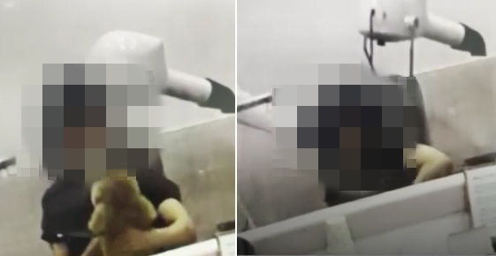 애견 미용실 직원이 생후 9개월 된 강아지를 미용하는 과정에서 팔로 짓누르고 때리는 등 학대하는 모습이 담긴 CCTV 영상. YTN 캡처  