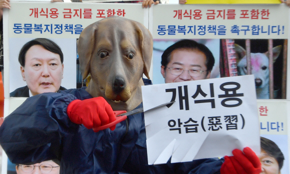 개 탈 쓰고… “개 식용 금지하라” 