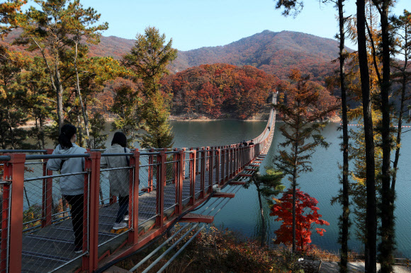 3일 경기도 파주시 마장호수에서 방문객들이 출렁다리를 건너며 가을을 만끽하고 있다. 2021.11.3  연합뉴스