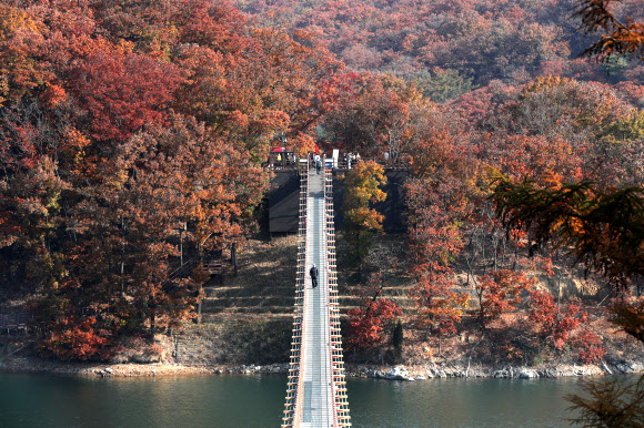 3일 경기도 파주시 마장호수에서 방문객들이 출렁다리를 건너며 가을을 만끽하고 있다. 2021.11.3  연합뉴스