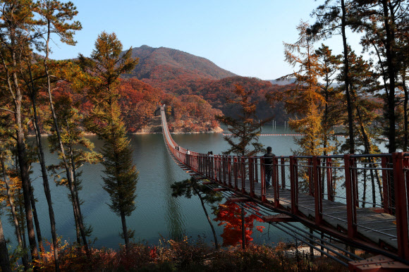 3일 경기도 파주시 마장호수에서 방문객들이 출렁다리를 건너며 가을을 만끽하고 있다. 2021.11.3  연합뉴스