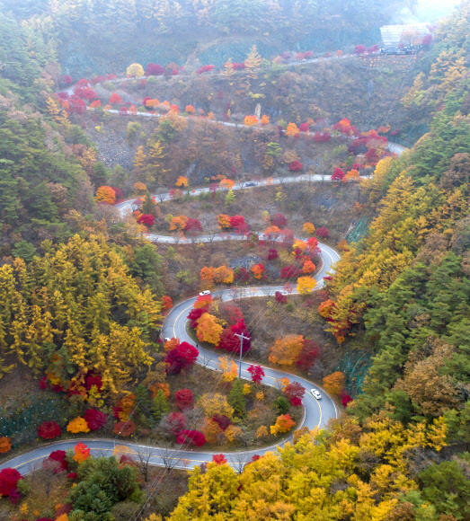 전국적으로 완연한 가을 날씨를 보인 3일 충북 단양군 가곡면 보발재 일대가 가을빛으로 물들어 있다. 2021.11.3  연합뉴스