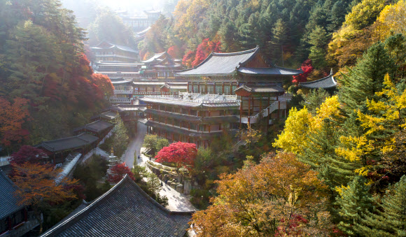 전국적으로 완연한 가을 날씨를 보인 3일 충북 단양군 구인사 일대가 가을빛으로 물들어 있다. 2021.11.3  연합뉴스