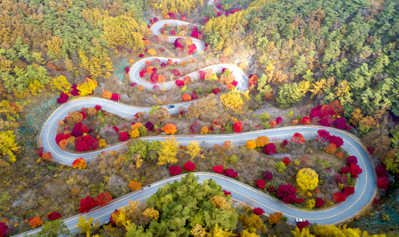 전국적으로 완연한 가을 날씨를 보인 3일 충북 단양군 가곡면 보발재 일대가 가을빛으로 물들어 있다. 2021.11.3  연합뉴스