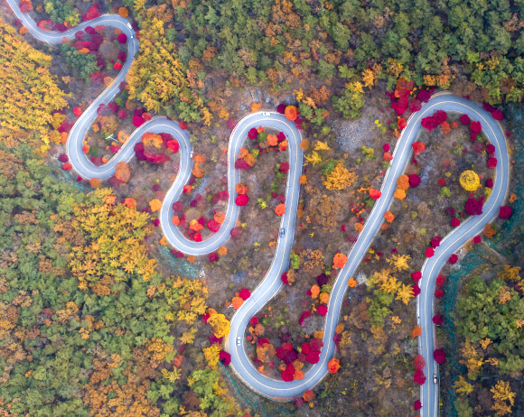 전국적으로 완연한 가을 날씨를 보인 3일 충북 단양군 가곡면 보발재 일대가 가을빛으로 물들어 있다. 2021.11.3  연합뉴스