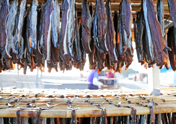 바닷가에서 익어가는 과메기