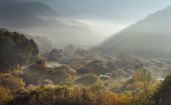 인제 갑둔리의 ‘비밀의 정원’ 새벽 풍경. 안개가 자주 끼고 서리가 내리기 시작하는 이맘때 절정의 풍경을 선사한다. ‘풍경의 골든타임’인 동틀녘에 찾아야 그림 같은 풍경과 마주할 수 있다.