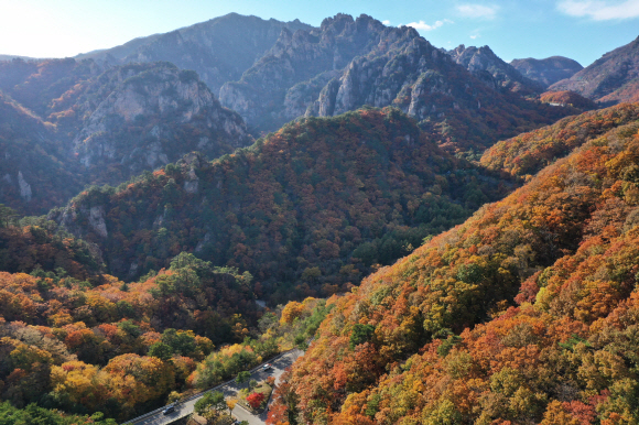 절정에 이른 한계령 일대 단풍. 설악산 만경대 뒤에서 본 장면이다. 주변 봉우리들의 정수리는 이미 겨울로 접어들었고 오색약수와 만경대 일대 단풍이 절정에 이르렀다.