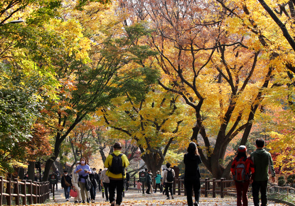 절기상 입동인 7일 오전 서울 남산 등산로가 단풍으로 곱게 물들어 있다. 2021.11.7  연합뉴스