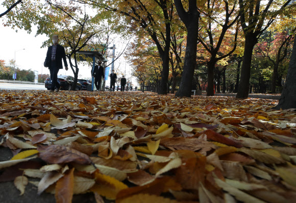 절기상 입동인 7일 서울 영등포구 여의도공원에서 시민들이 낙엽길을 걷고 있다. 2021.11.7  연합뉴스
