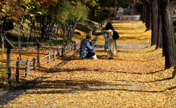 7일 오후 여의도 국회에서 시민들이 나뭇잎 떨어진 길을 산책하고 있다. 2021.11.7  연합뉴스