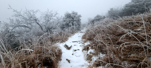 9일 전북 무주군 설천면 덕유산 국립공원에 내린 첫눈이 쌓여 있다. 2021.11.9  덕유산국립공원사무소 제공