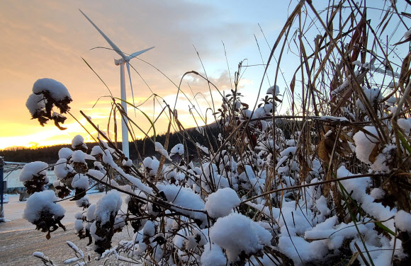 첫눈 쌓인 대관령