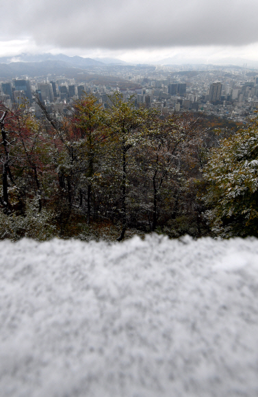 서울에 첫눈이 내린10일 서울 남산일대에 눈이 내리고 있다. 2021.11.10 박지환기자 popocar@seoul.co.kr