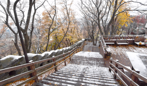 서울에 첫눈이 내린10일 서울 남산일대에 눈이 내리고 있다. 2021.11.10 박지환기자 popocar@seoul.co.kr