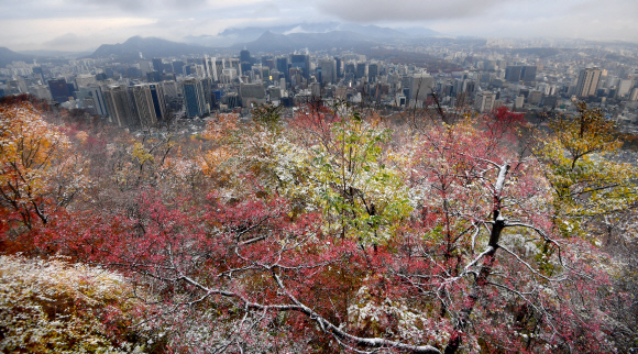 서울에 첫눈이 내린10일 서울 남산일대에 눈이 내리고 있다. 2021.11.10 박지환기자 popocar@seoul.co.kr