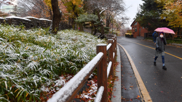 서울에 첫눈이 내린10일 서울 남산일대에 눈이 내리고 있다. 2021.11.10 박지환기자 popocar@seoul.co.kr