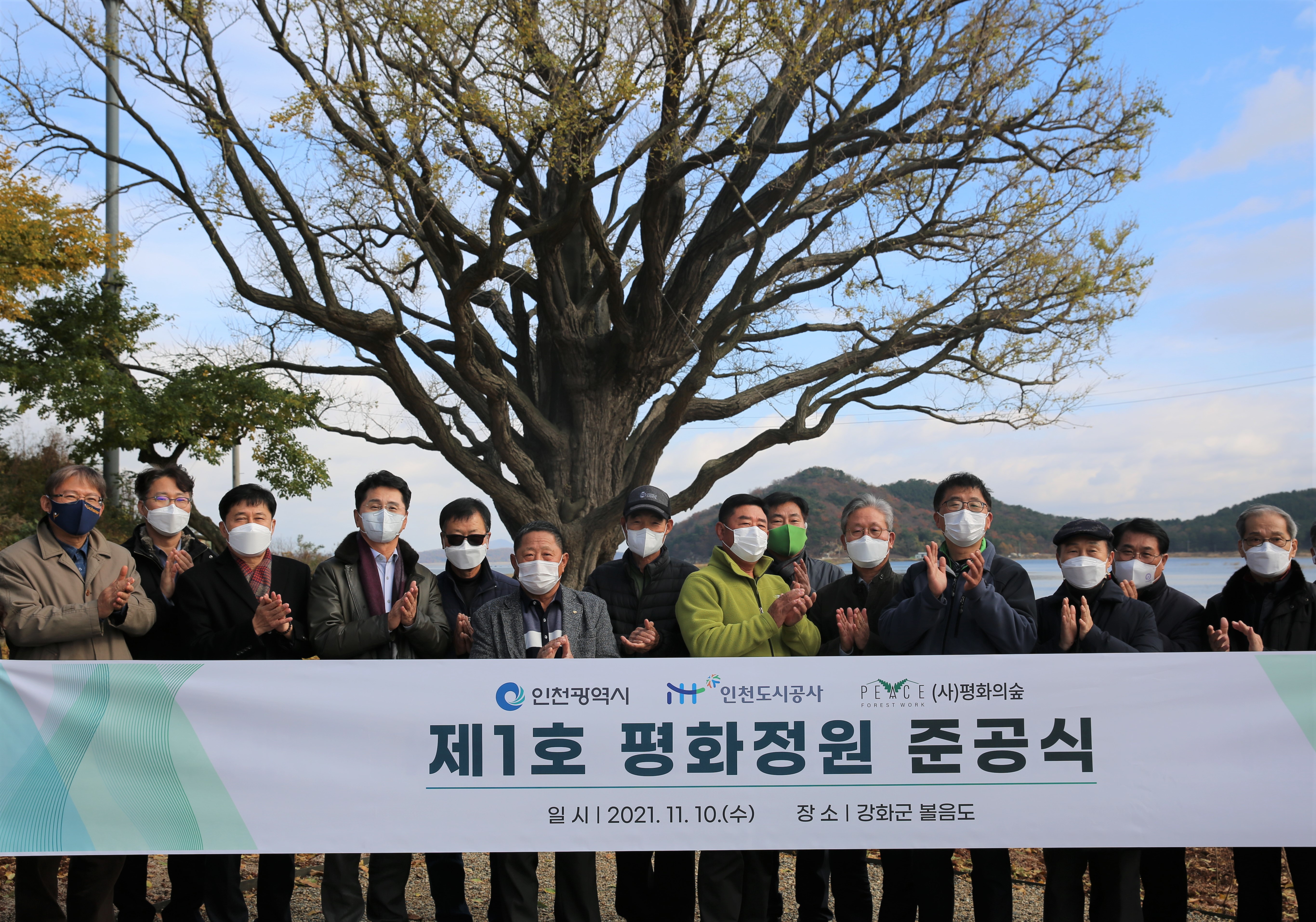 인천도시공사에 의해 제1호 평화정원으로 탈바꿈한 강화 불음면 은행나무 전경.(인천도시공사 제공)