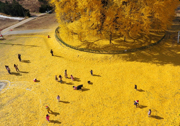 가을의 마지막 선물