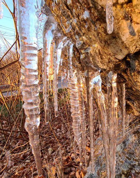 추위 하면 대관령…고드름 주렁주렁