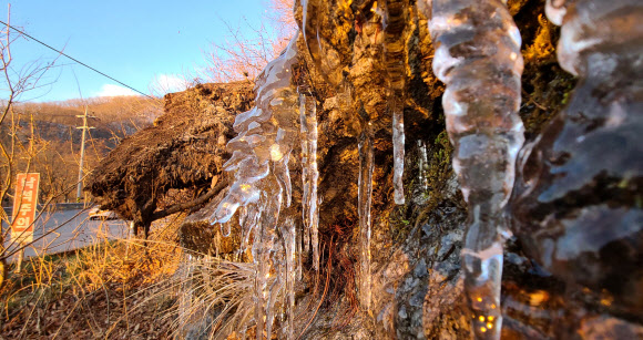 기온 ‘뚝’…대관령 도로변에 고드름