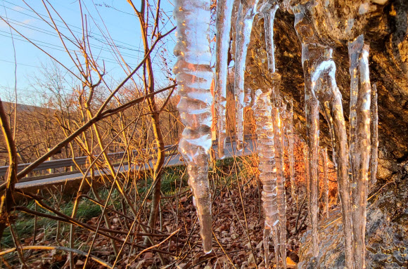 추위 하면 대관령…고드름 주렁주렁
