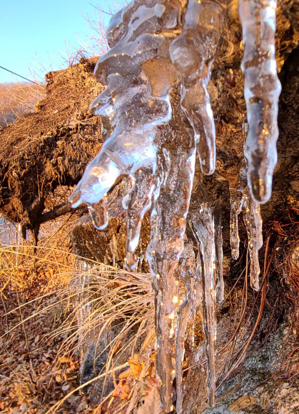 영하권 추위에 고드름이 ‘꽁꽁’