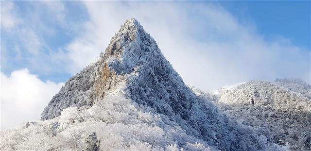 하얀 눈꽃 핀 제주 한라산