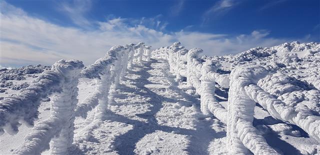 하얀 눈꽃 핀 제주 한라산
