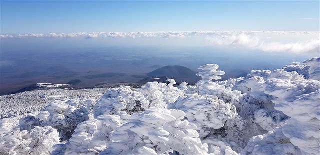 하얀 눈꽃 절정 이룬 제주 한라산