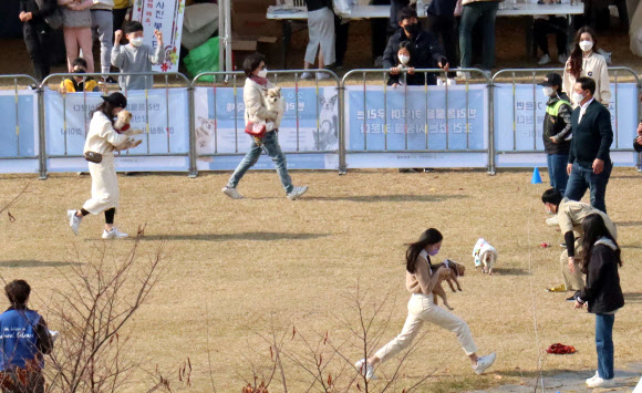 모처럼 열린 현장 축제