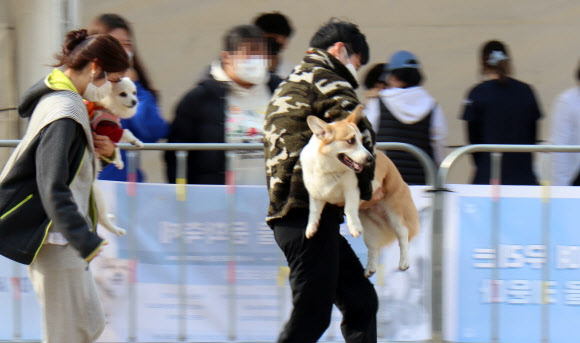 모처럼 열린 현장 축제