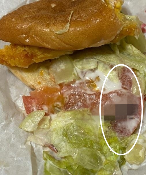 20대 여성 A씨는 이달 초 집 근처 B햄버거 체인점에서 햄버거를 배달시켜 먹던 중 길이 2.5㎝ 정도 되는 집게벌레를 발견했다. 연합뉴스