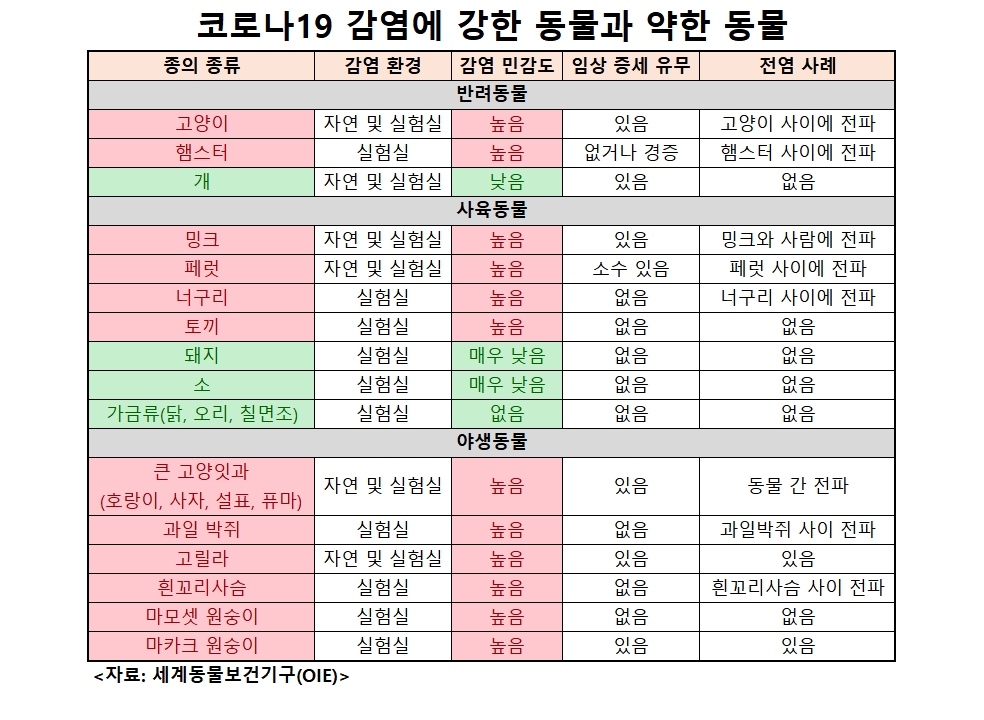 코로나19 감염에 강한 동물과 약한 동물