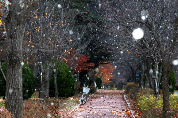 소설에 내리는 눈