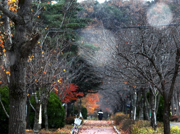 소설에 내리는 눈