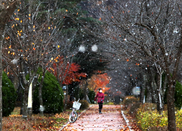 소설에 내리는 눈