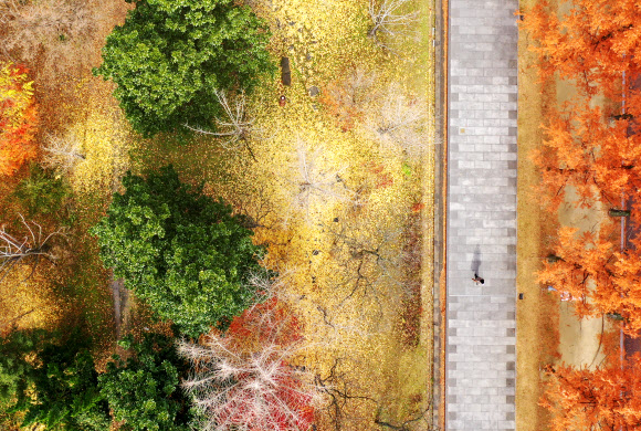 앙상한 가을 사이로