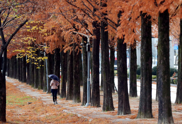 겨울의 문턱에서