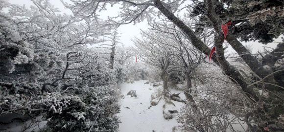 한라산은 겨울왕국