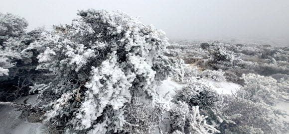 제주도 산지에 대설주의보