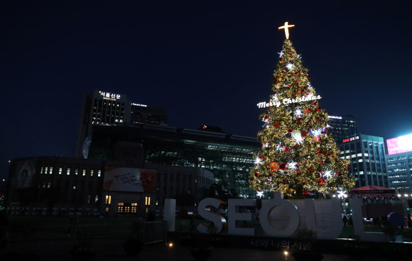 서울광장 성탄 트리 시험 점등