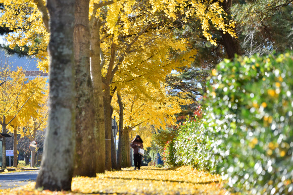 가는 가을, 오는 겨울
